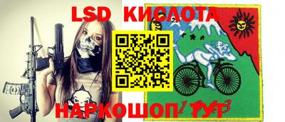 ПСИЛОЦИБИНОВЫЕ ГРИБЫ Кингисепп