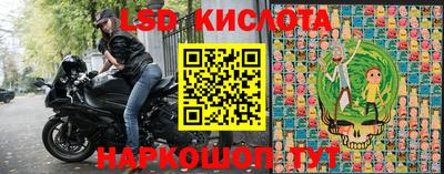 ПСИЛОЦИБИНОВЫЕ ГРИБЫ Кингисепп