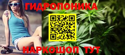 скорость Кимры