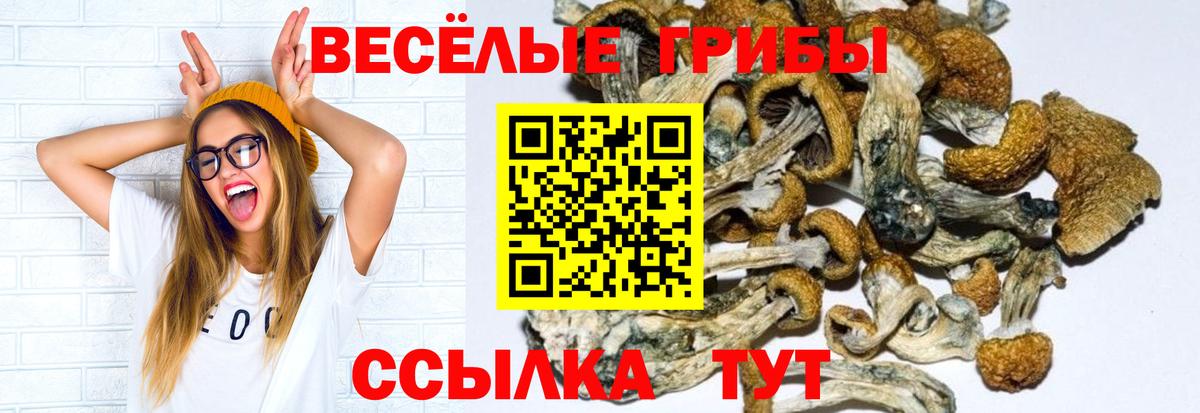 Псилоцибиновые грибы мухоморы Канаш
