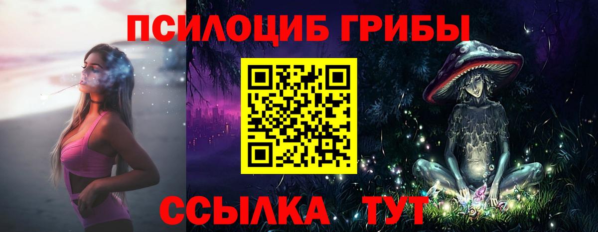 как найти   Псилоцибиновые грибы прущие грибы  Вход с VPN  Канаш 